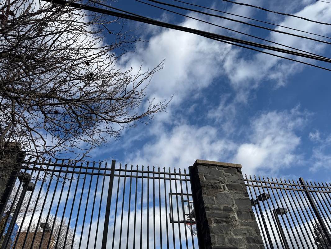 walking near me in Washington Park in winter