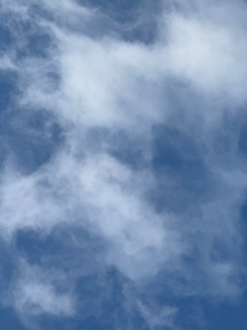 walking near me in Reid Park in summer