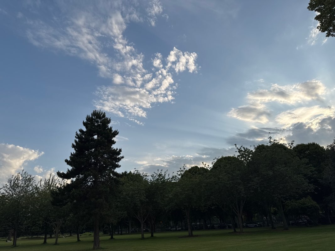 walking near me in Herbert Park in summer
