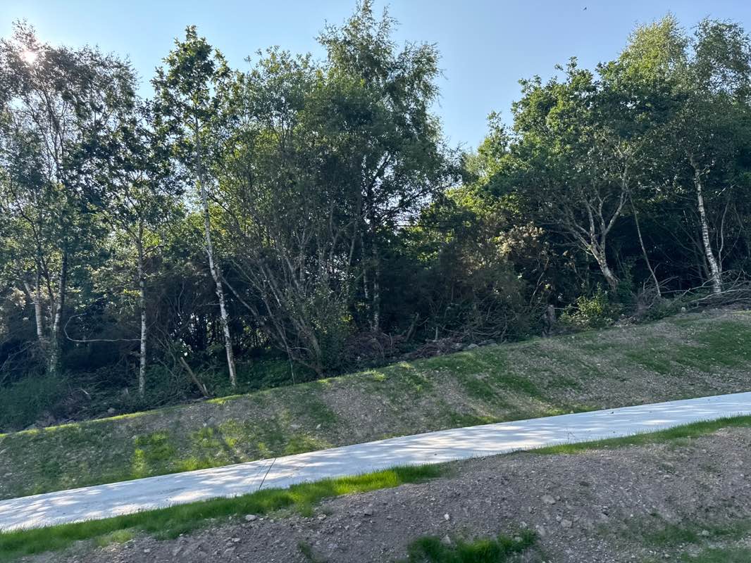 walking near me in Clogheenmilcon Sanctuary in summer