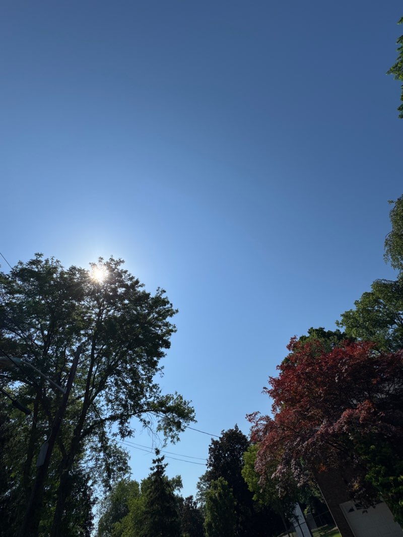 walking near me in Sirianni Park in summer