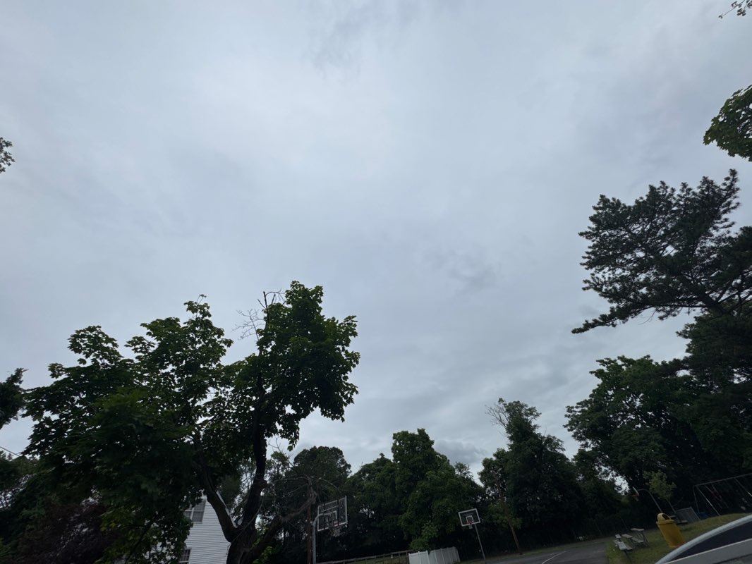 walking near me in Hegeman Park in summer