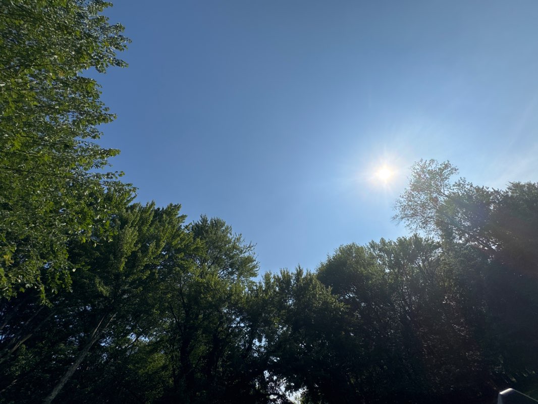 walking near me in Fireman's Park in summer