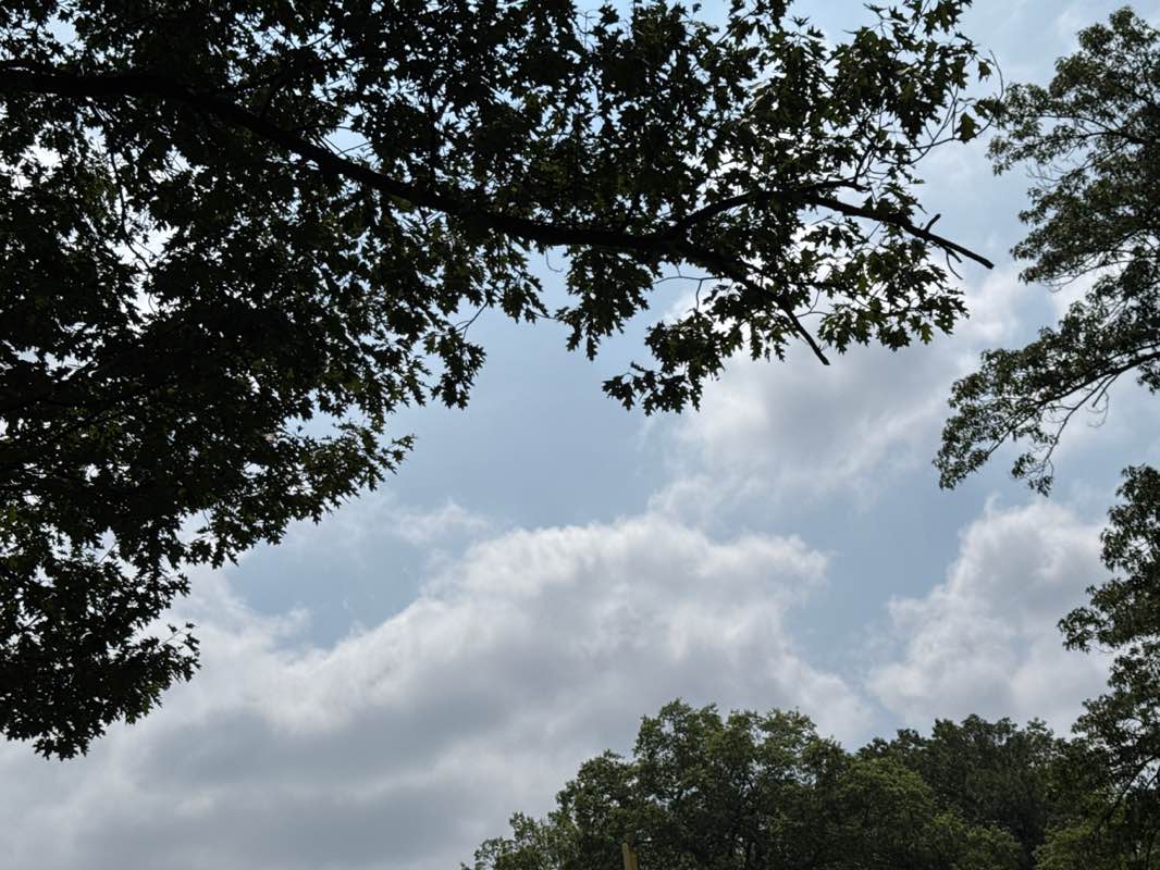 walking near me in Clark Field in summer