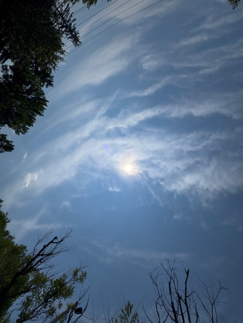 walking near me in Petruska Park in summer
