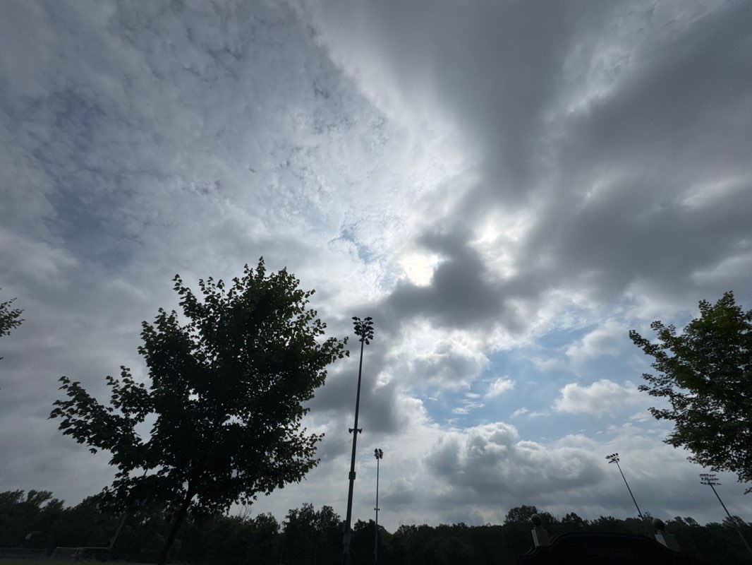 walking near me in Centennial Field in summer