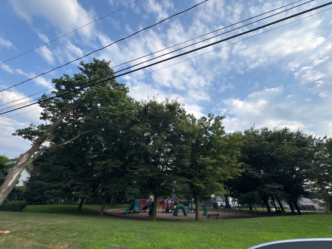 walking near me in Mackel Park in autumn