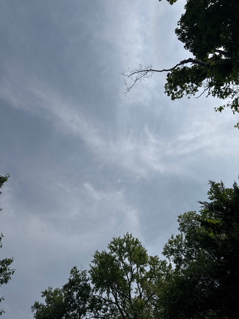 walking near me in Donald T. Horsey Centennial Park in summer