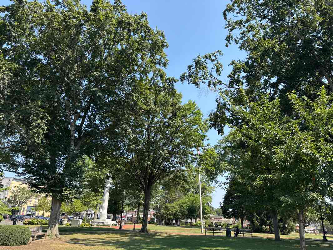 walking near me in Van Neste Square Memorial Park in autumn