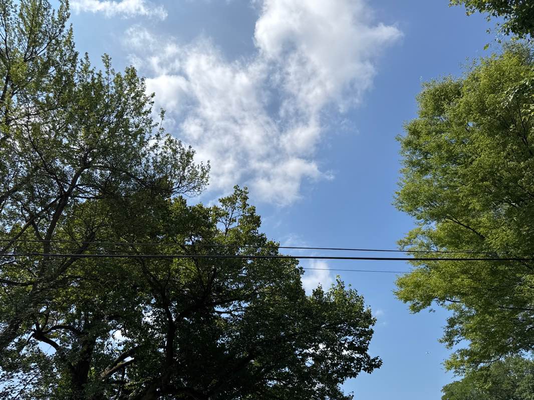 walking near me in Amman Park in autumn