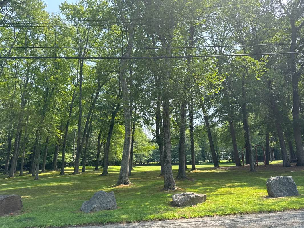 walking near me in George Street Park in autumn