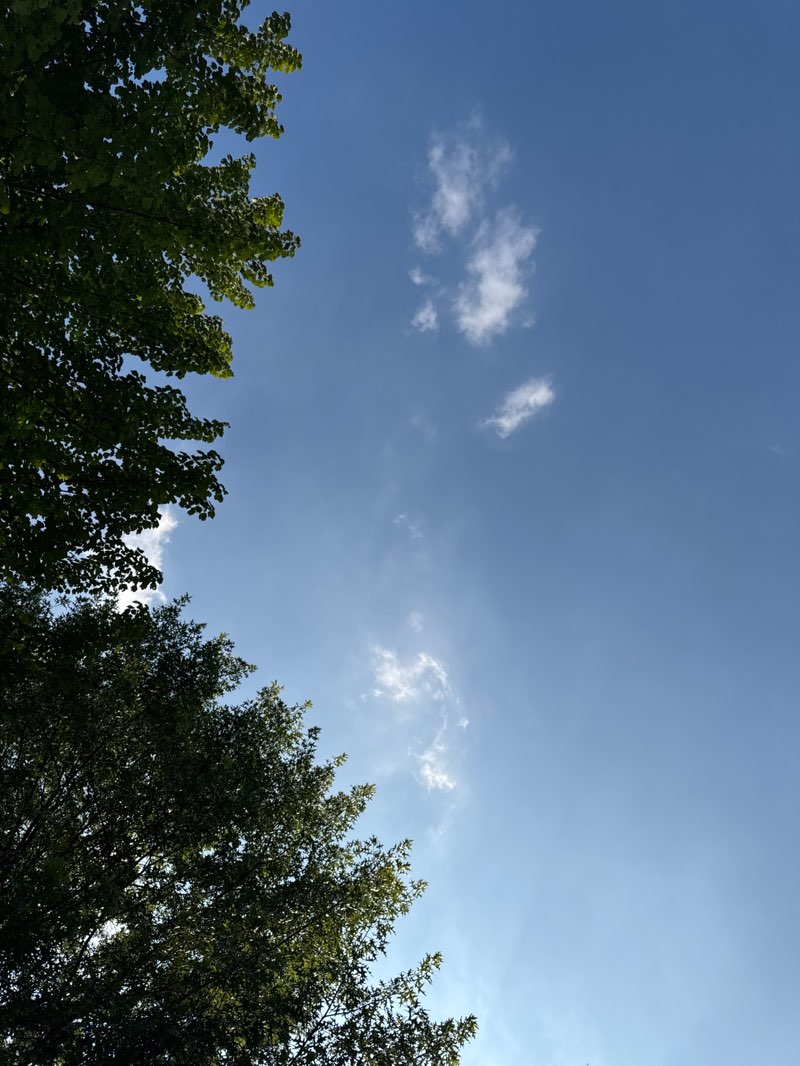 walking near me in Staib Park in summer