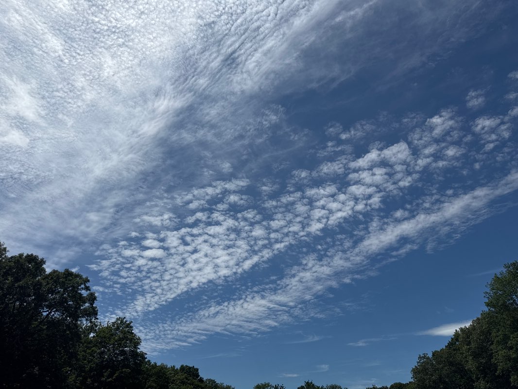 walking near me in Hess Field in autumn