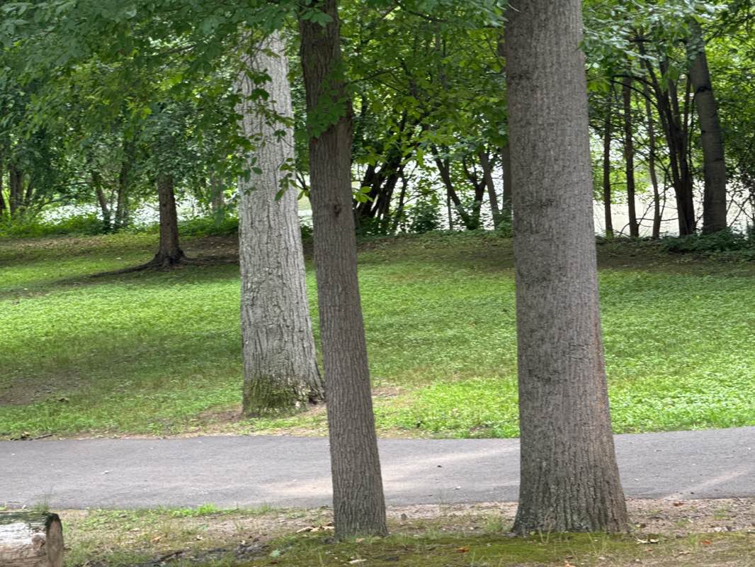 walking near me in Gritman Park in summer