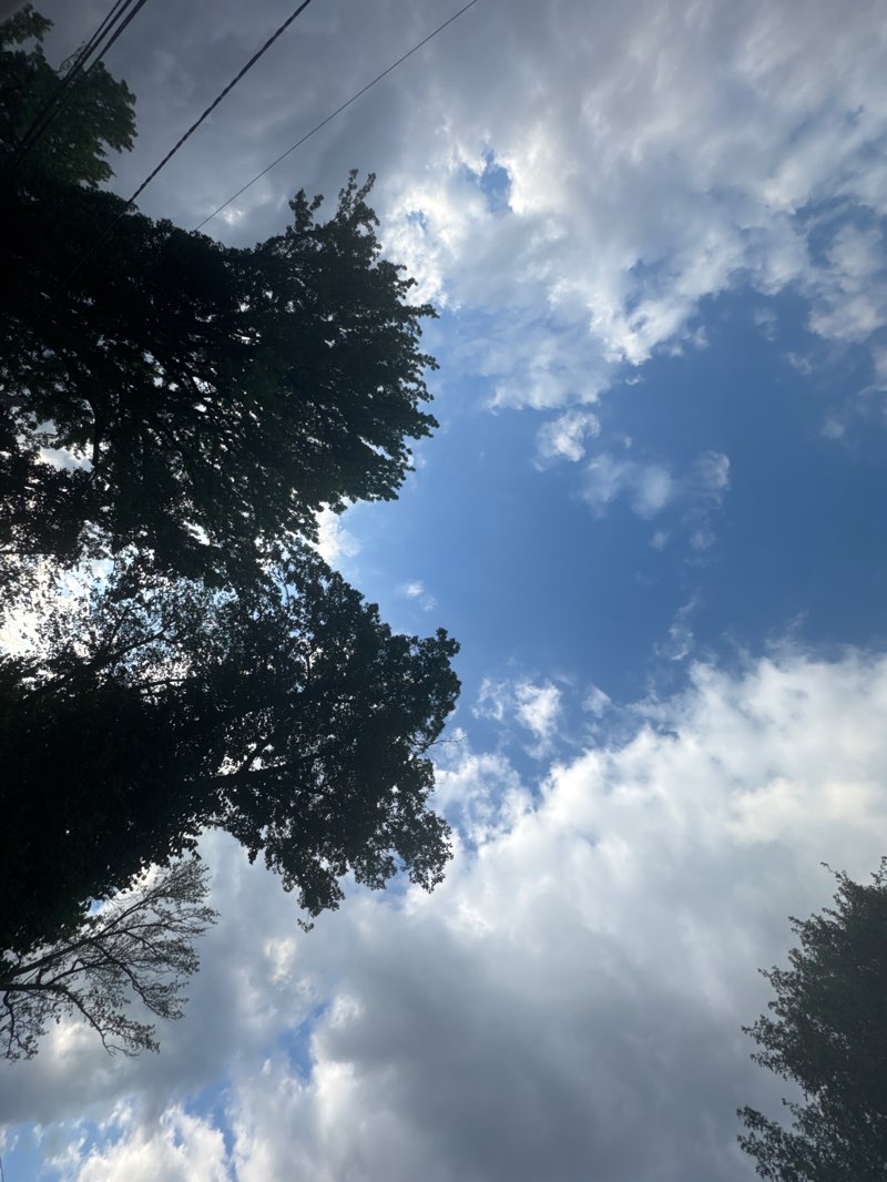 walking near me in Baldwin Park in autumn