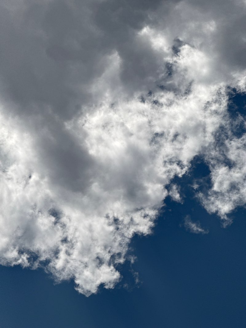 walking near me in Veterans Memorial Park in autumn