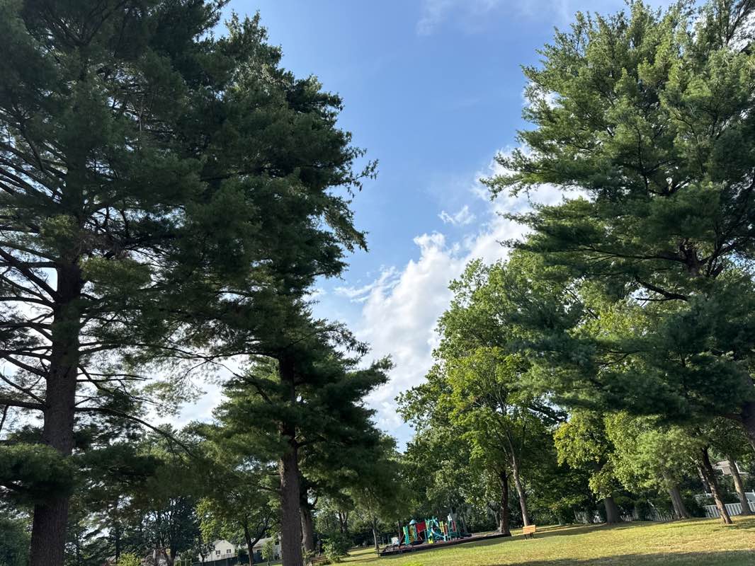 walking near me in Cresthill Park in autumn