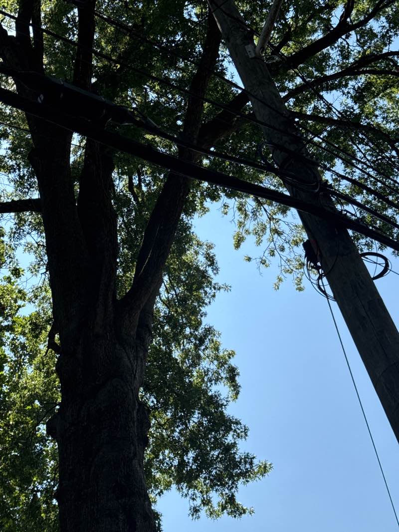 walking near me in Denning Park in autumn