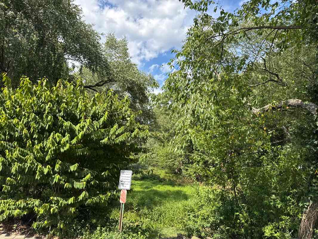 walking near me in Twinney Pond Park in autumn