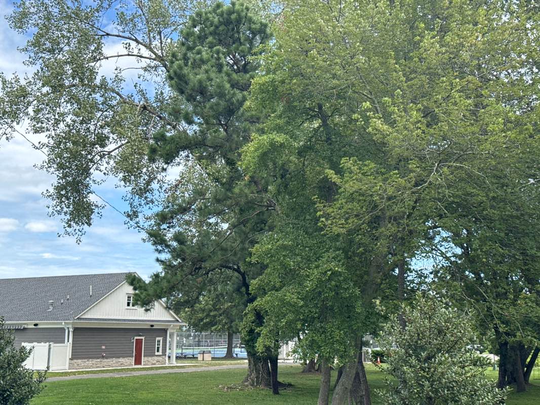 walking near me in Pazienza Park in autumn