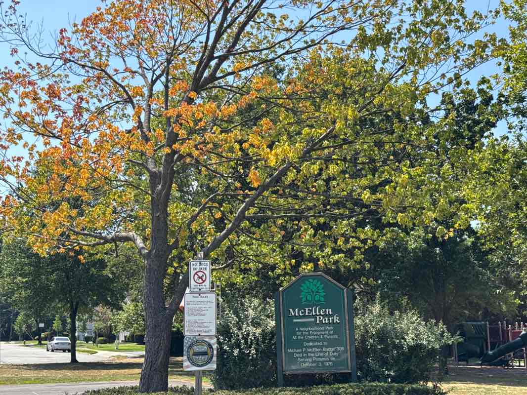 walking near me in McEllen Park in autumn