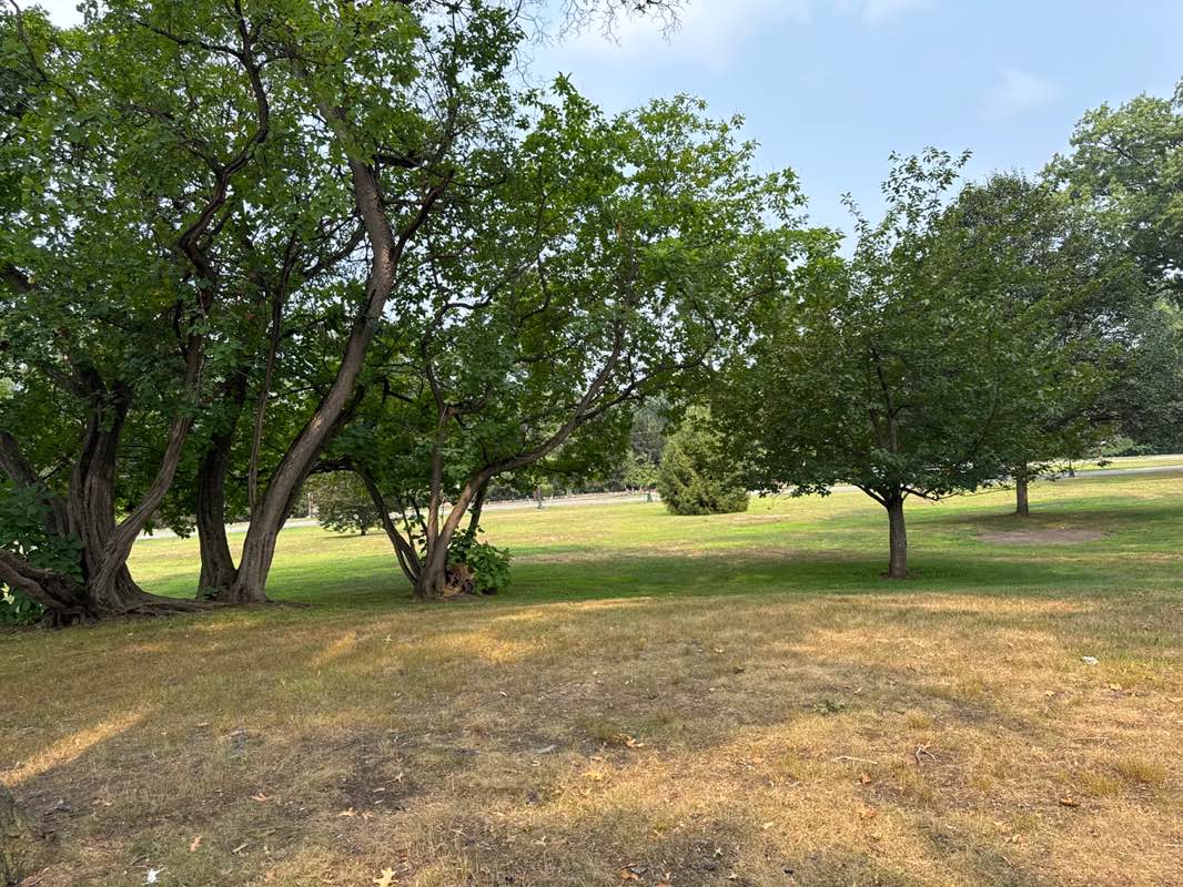 walking near me in Leuning Park in autumn
