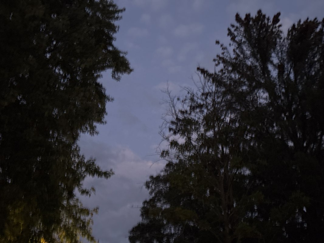 walking near me in Henry V. Borst Park in autumn