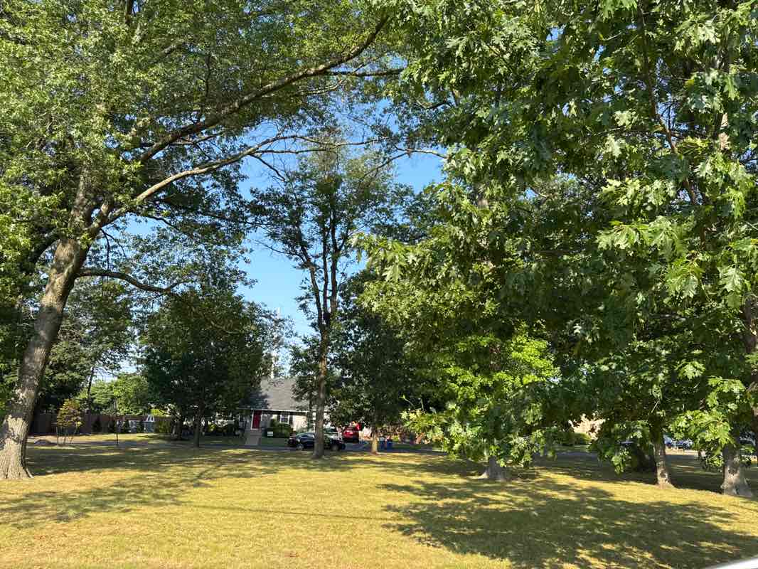walking near me in Rhodes Park in autumn
