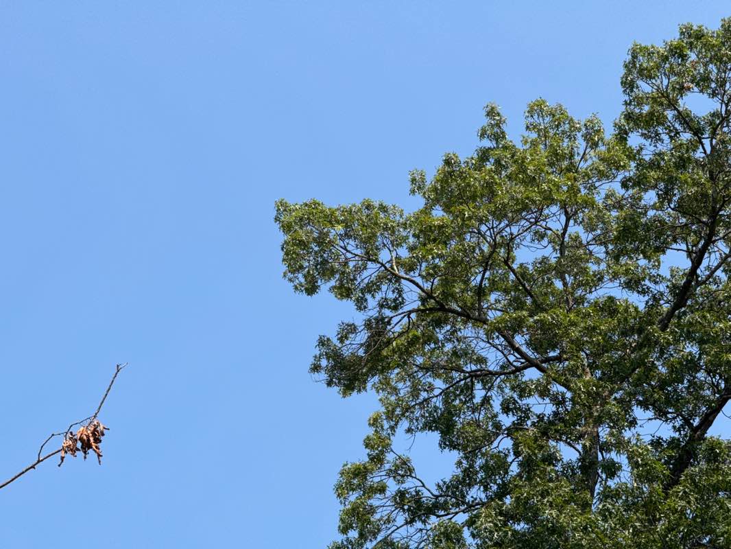 walking near me in Brookside Park in autumn