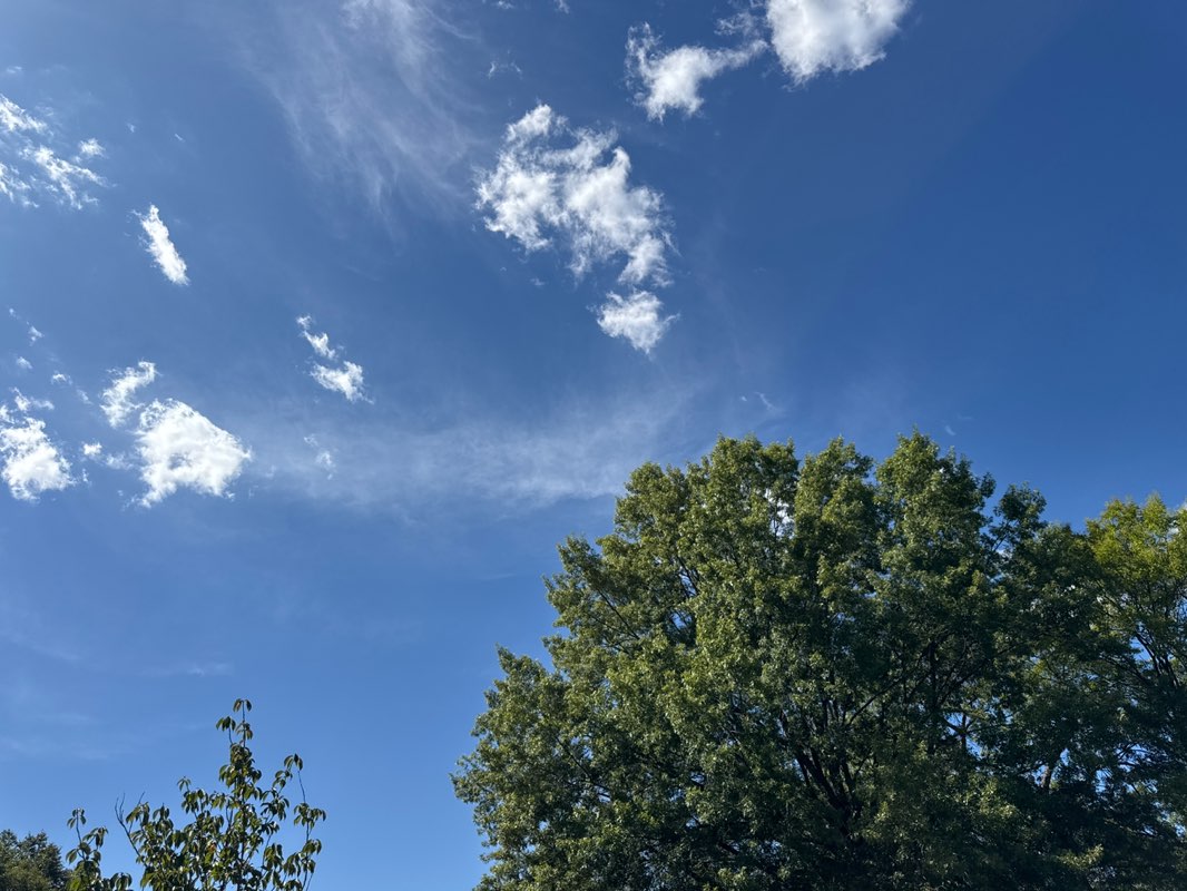 walking near me in Mackay Park in autumn