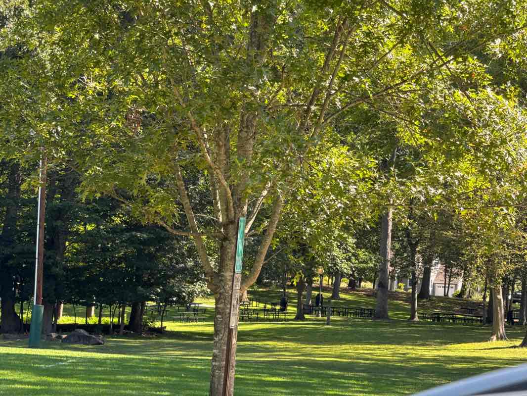 walking near me in Beechwood Park in autumn