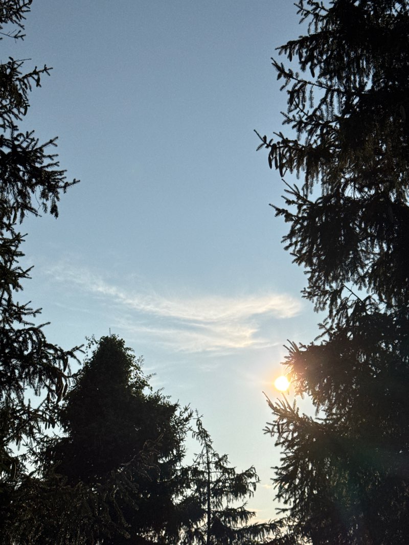 walking near me in Buehler Park in autumn