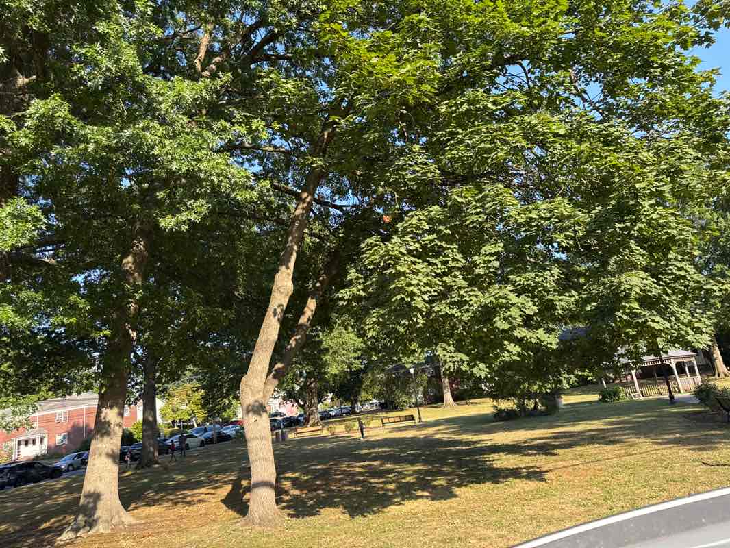 walking near me in Esplanade Park in autumn