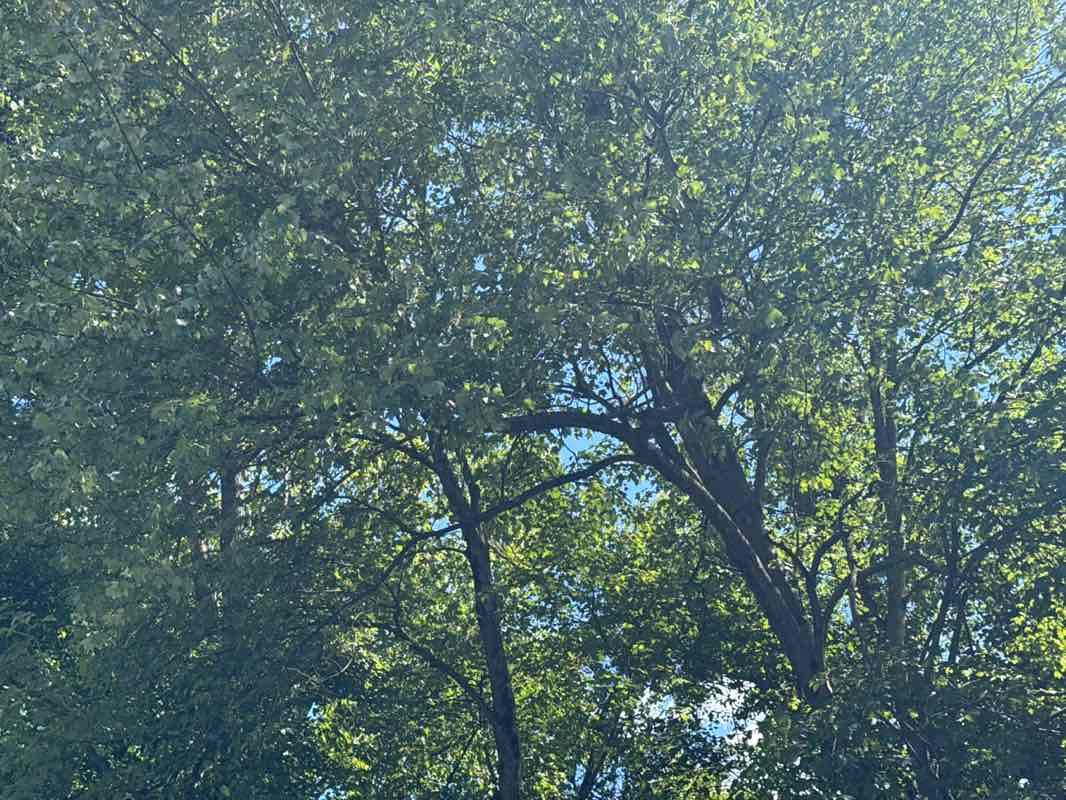 walking near me in Woodcliff Lake Historic Park in autumn