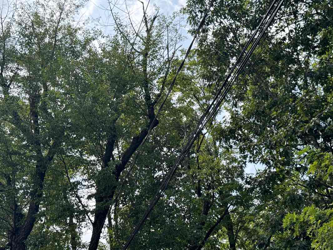 walking near me in Main Street Park in autumn