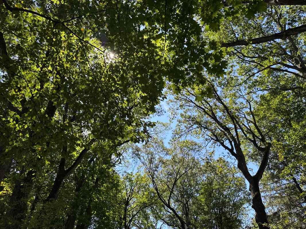 walking near me in Hohokus Brook Ravine in autumn