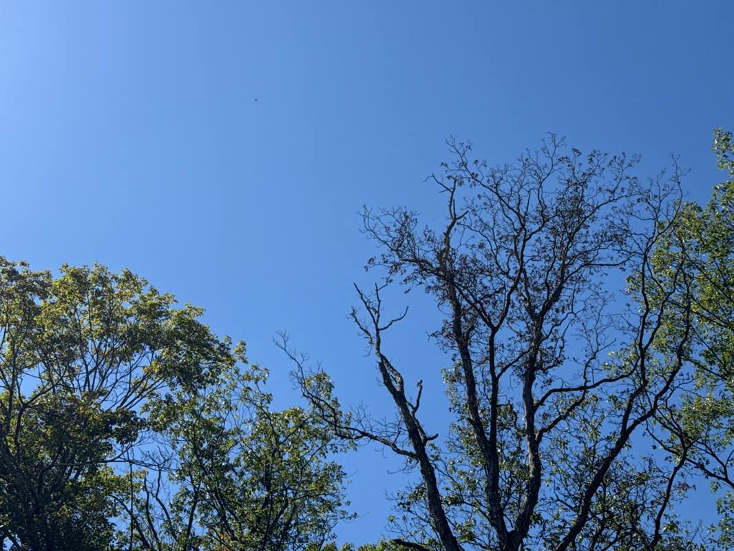 walking near me in Irene Habernickel Family Park in autumn