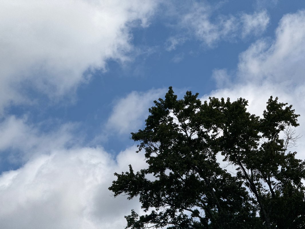 walking near me in Stone Point Park in autumn