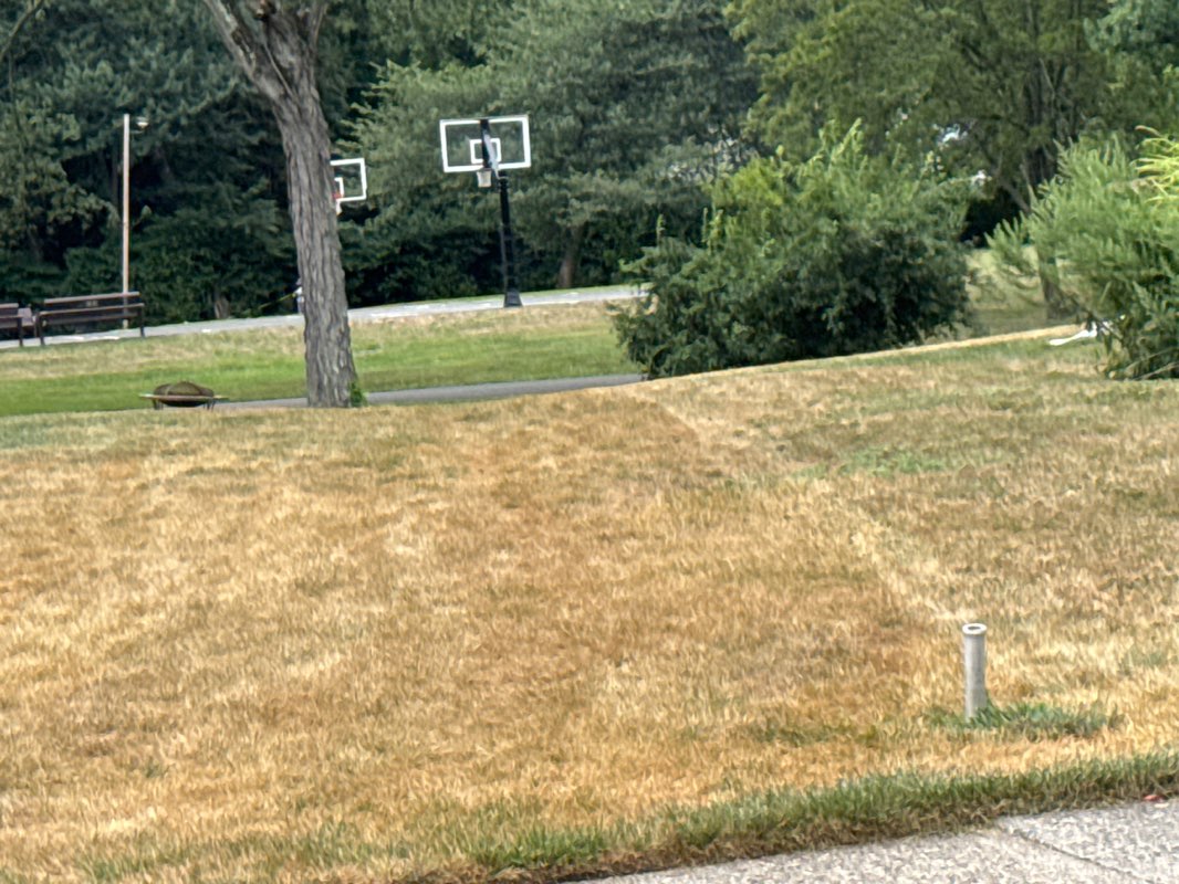 walking near me in Jake Voorhis Park in autumn