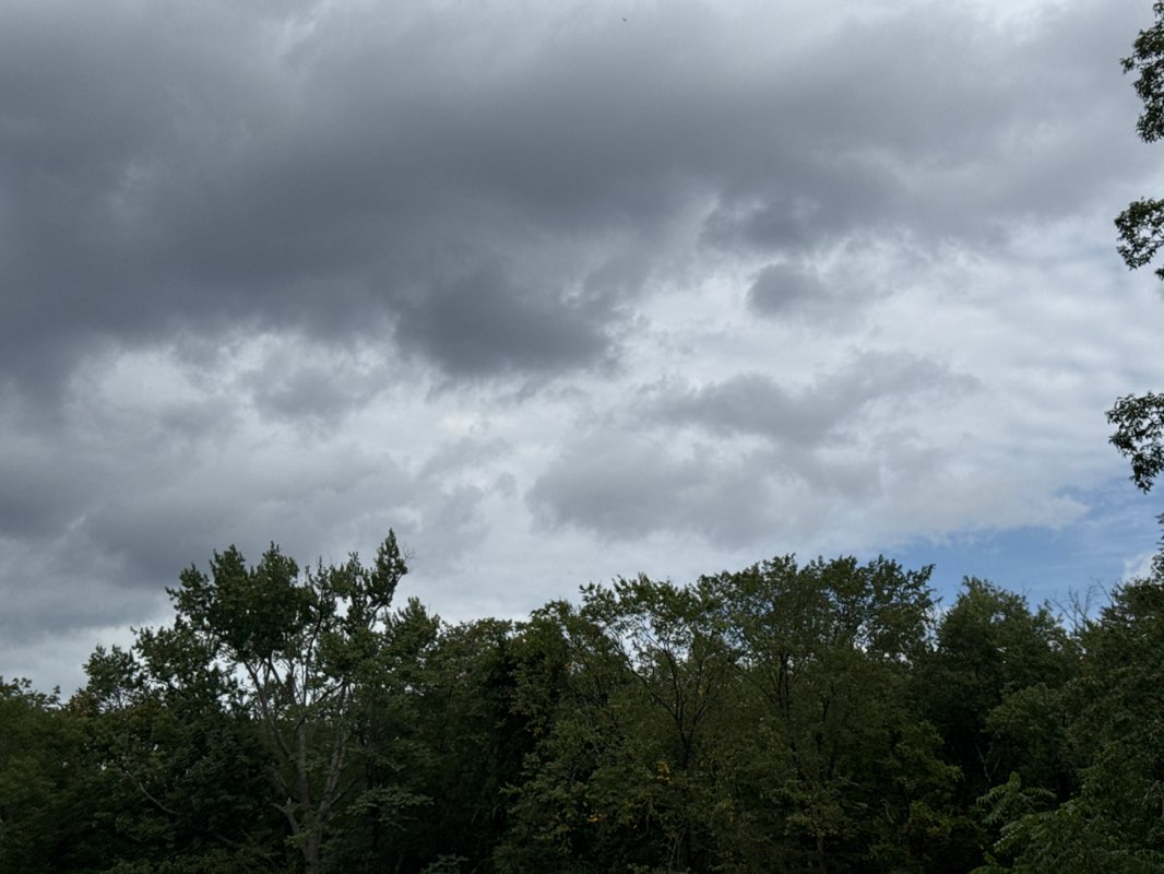 walking near me in HCA Park in autumn