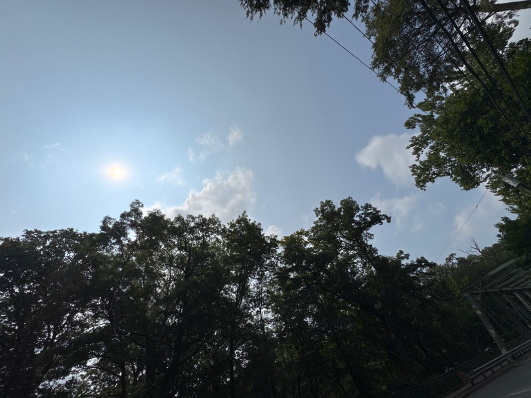 walking near me in Brookside Park in autumn