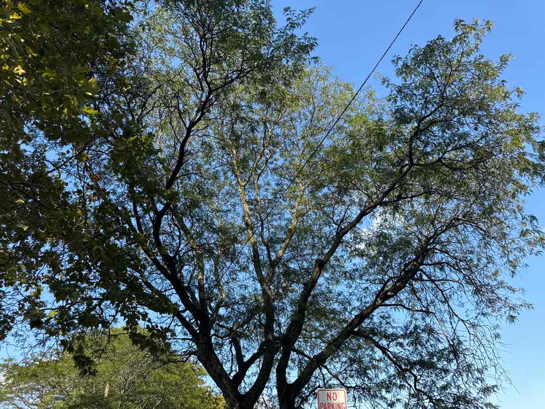 walking near me in Coytesville Park in autumn