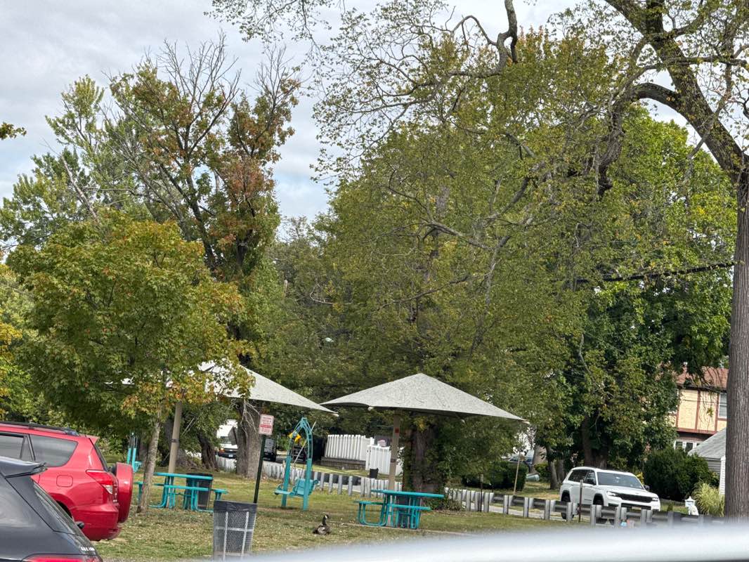 walking near me in Elmwood Park Marina in autumn