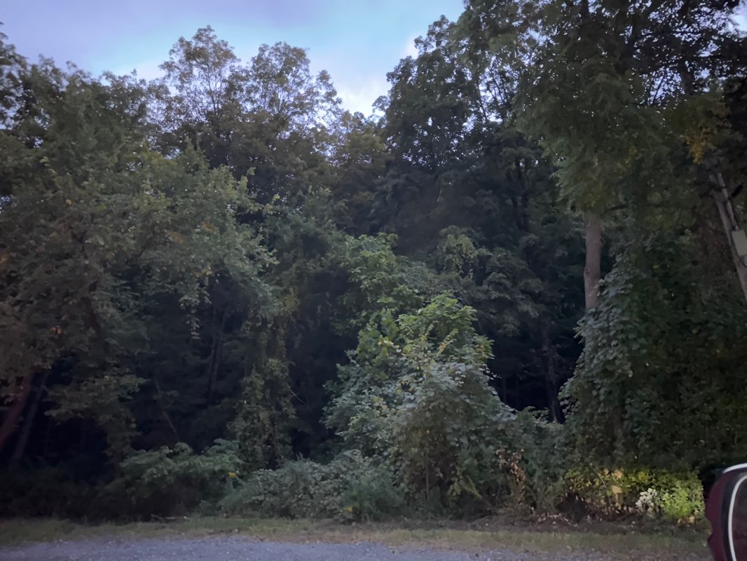 walking near me in Sterling Forest State Park in autumn