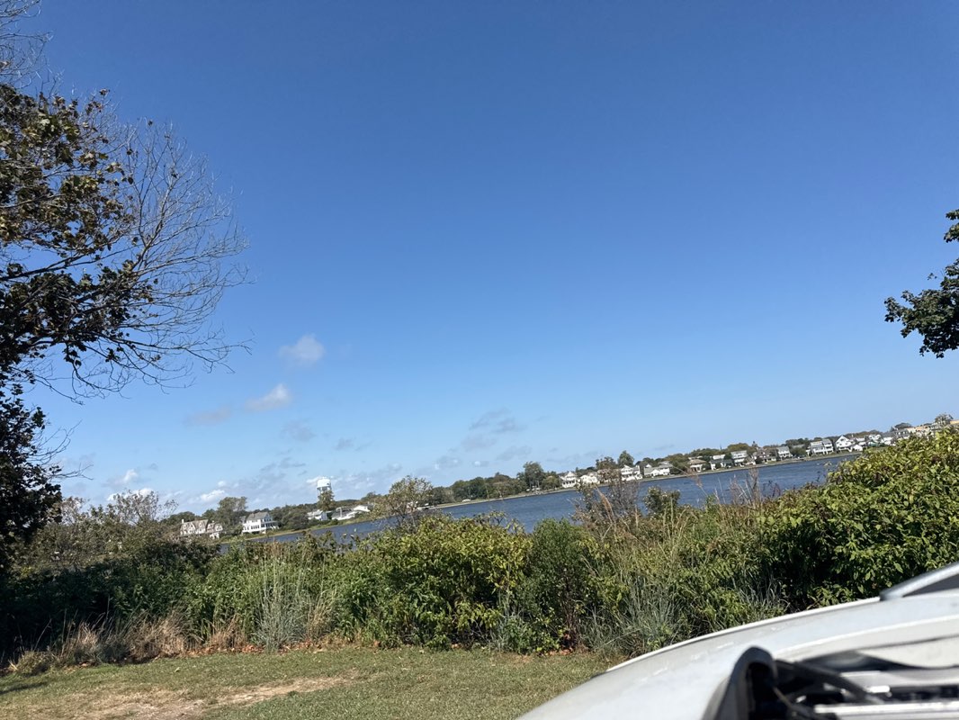 walking near me in Edgemere Park in autumn