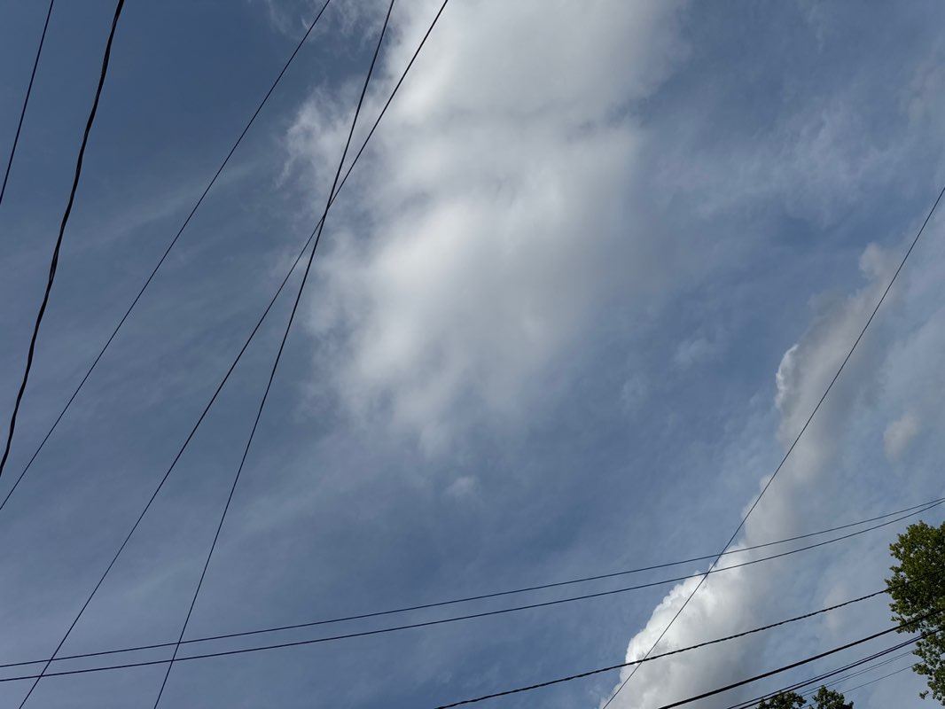 walking near me in Elmwood Park in autumn