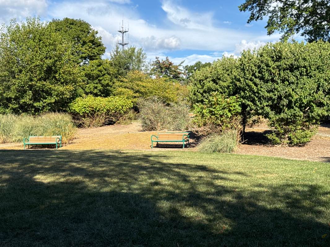 walking near me in Orchard Park in autumn