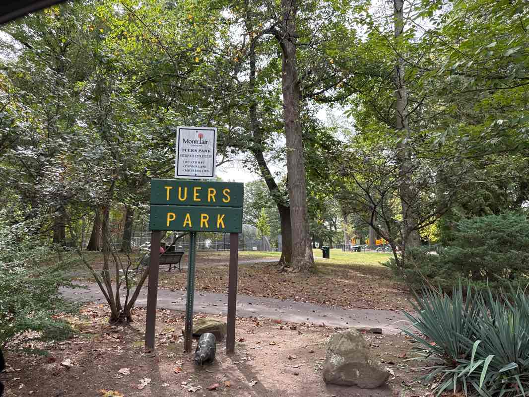 walking near me in Tuers Park in autumn