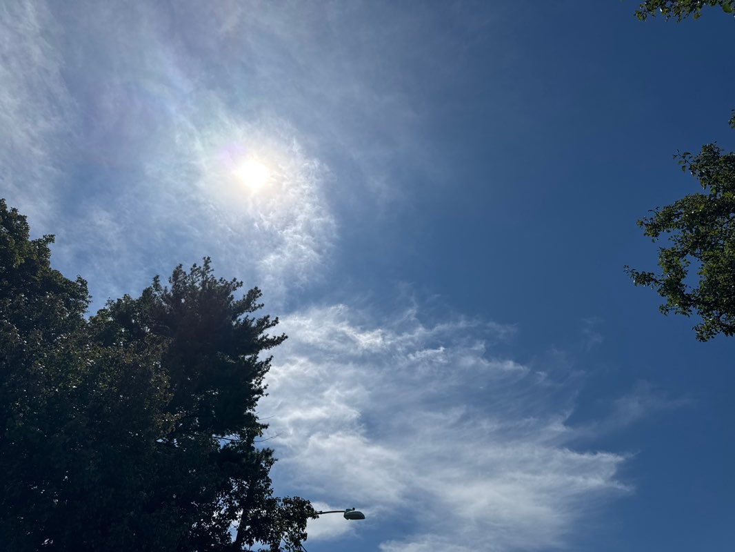 walking near me in Union Street Park in autumn