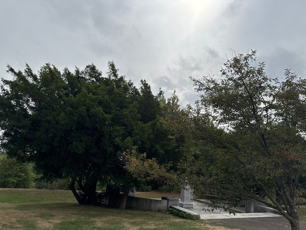 walking near me in Eastside Park in autumn